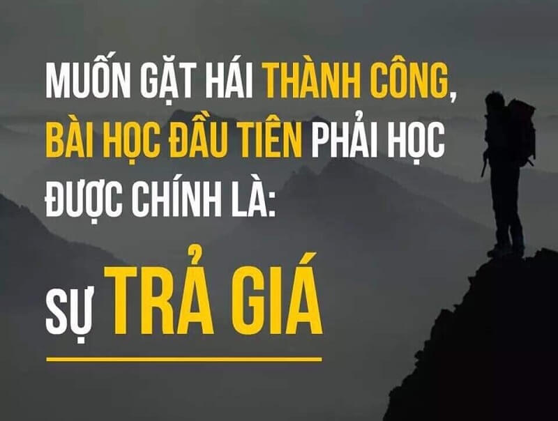 Cái Giá Của Sự Thành Công - Timviec365.com