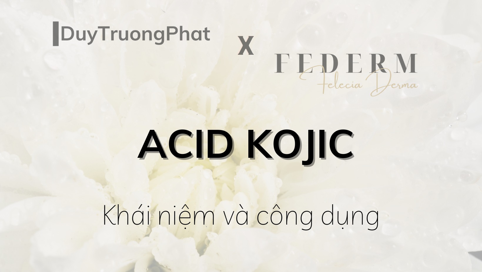 ACID KOJIC LÀ GÌ? ACID KOJIC CÓ TỐT KHÔNG?