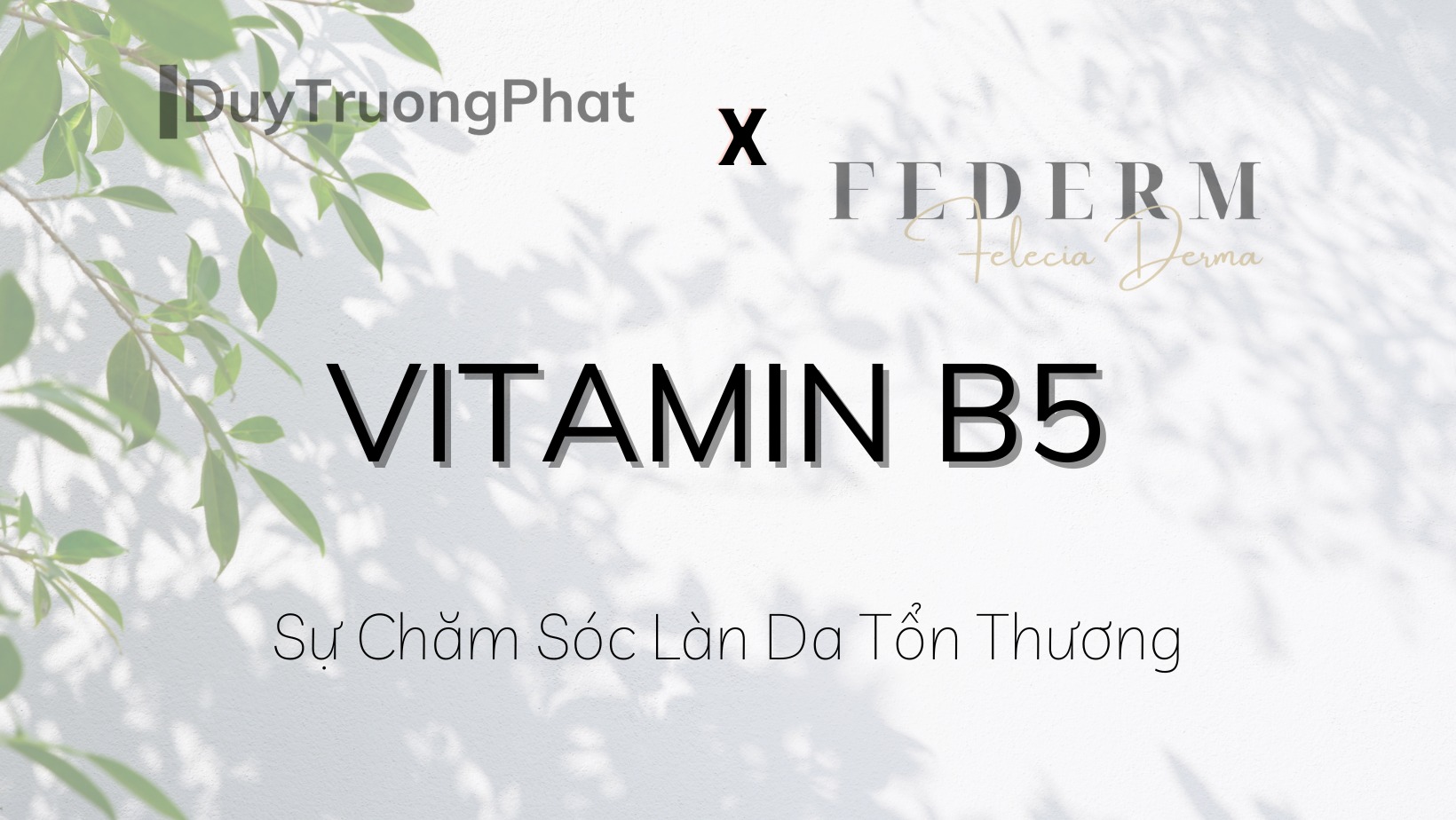 VITAMIN B5 VÀ SỰ CHĂM SÓC LÀN DA TỔN THƯƠNG