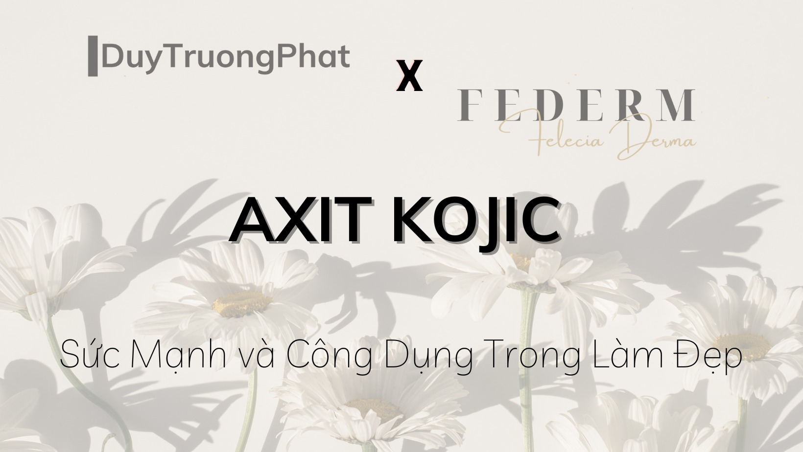 AXIT KOJIC: SỨC MẠNH VÀ CÔNG DỤNG TRONG LÀM ĐẸP